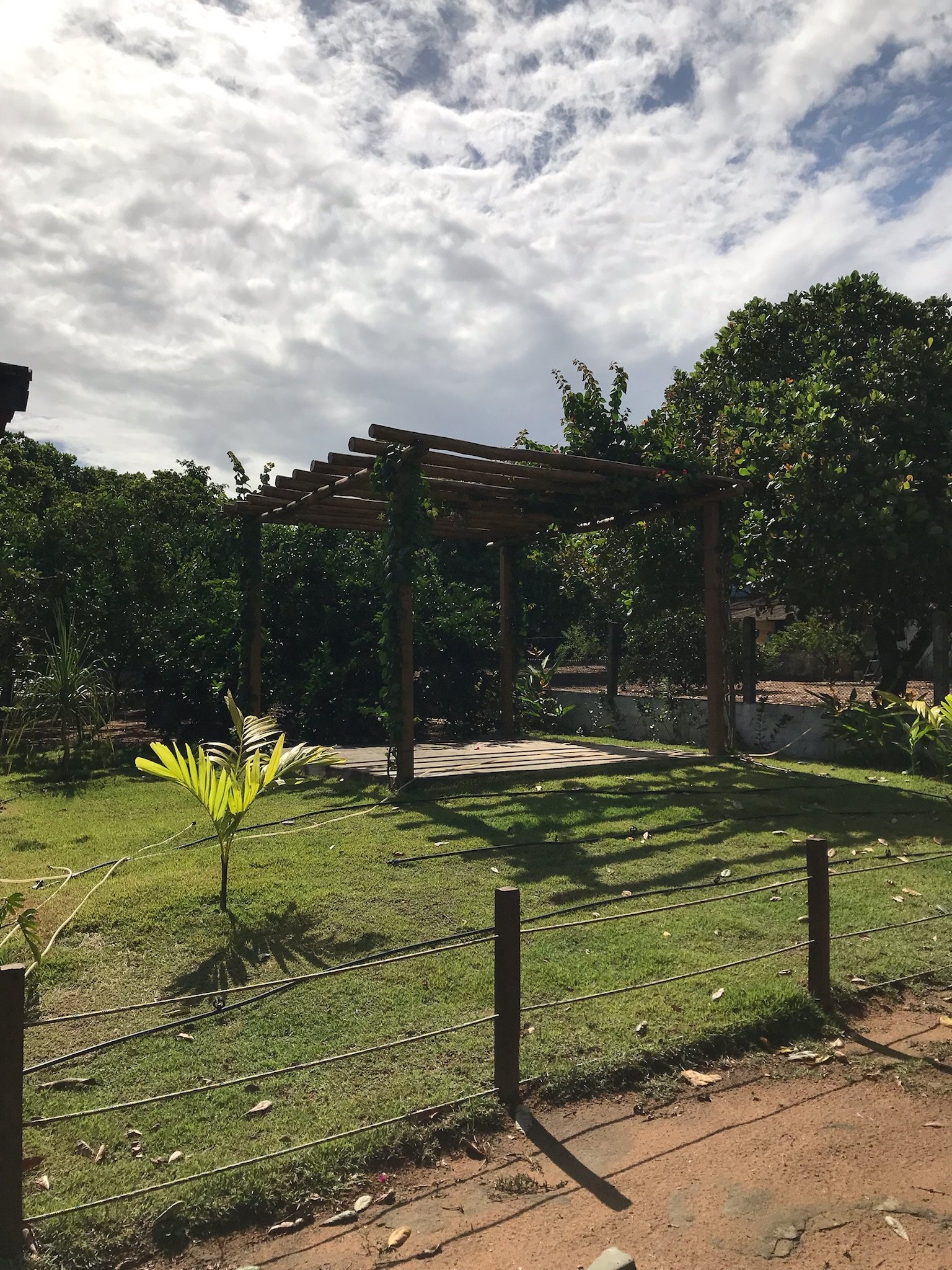 Pergolado de eucalipto com balanço em jardim